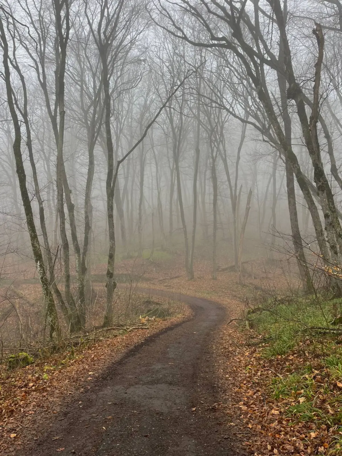 ❄️🧤 Зимнее солнцестояние в Железноводске: встретьте волшебство в уютной квартире!
⭐️ Сегодня — самый короткий день в году, а в 18:03 наступит зимнее солнцестояние! ✨
Представьте: вы только что вернули... | Сетка — социальная сеть от hh.ru
