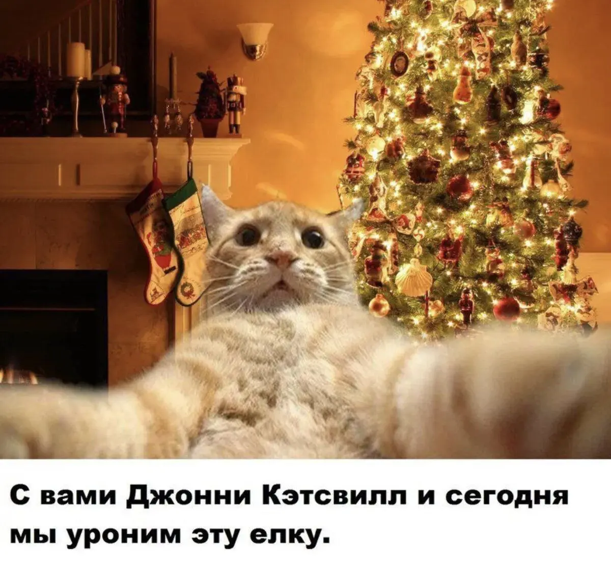 Как достичь миллионных просмотров 😂
#Юмор@poldner #Коты@poldner | Сетка — социальная сеть от hh.ru