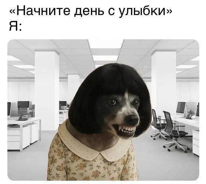 Доброе утро, ставропольцы! | Сетка — социальная сеть от hh.ru