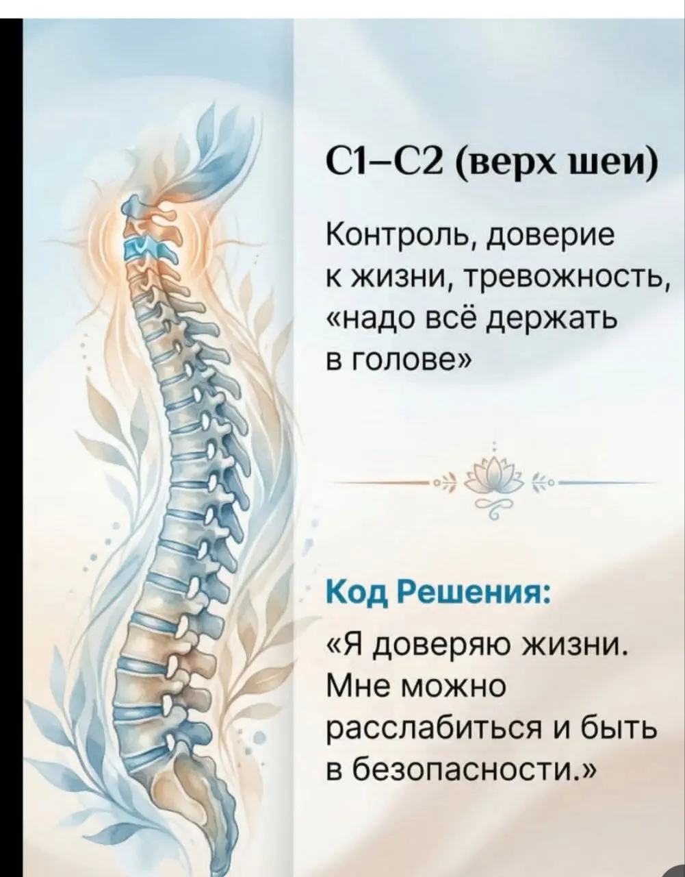 Психосоматика болей в позвоночнике | Сетка — социальная сеть от hh.ru