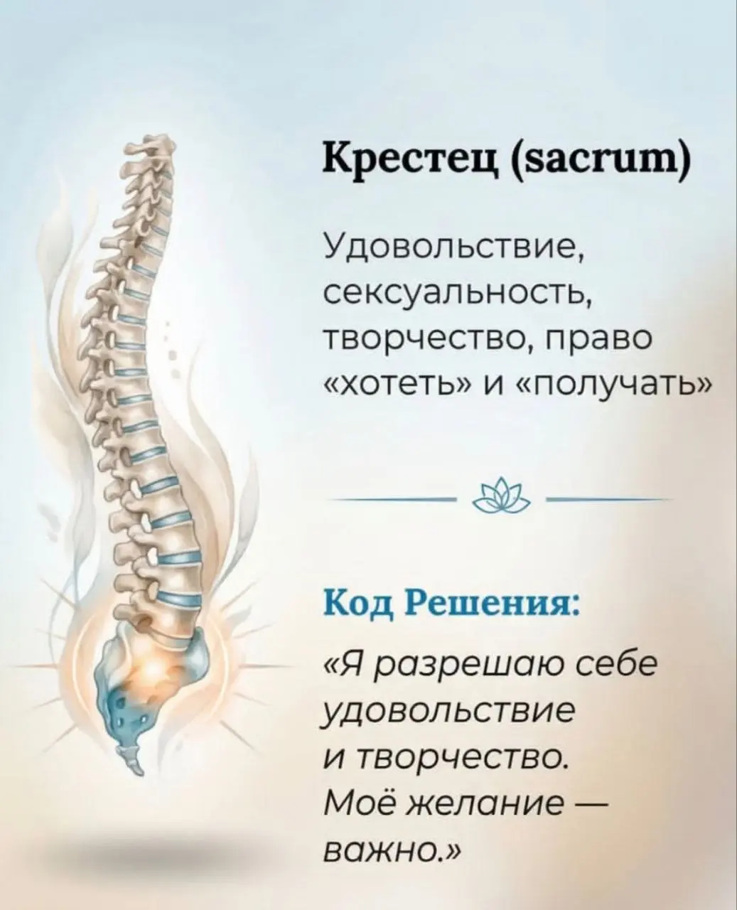 Психосоматика болей в позвоночнике | Сетка — социальная сеть от hh.ru