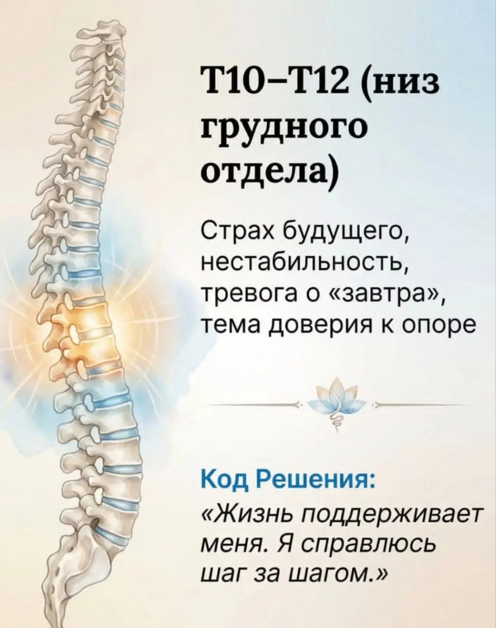 Психосоматика болей в позвоночнике | Сетка — социальная сеть от hh.ru