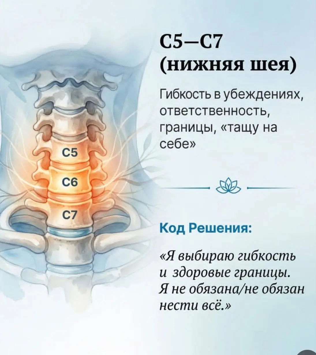 Психосоматика болей в позвоночнике | Сетка — социальная сеть от hh.ru