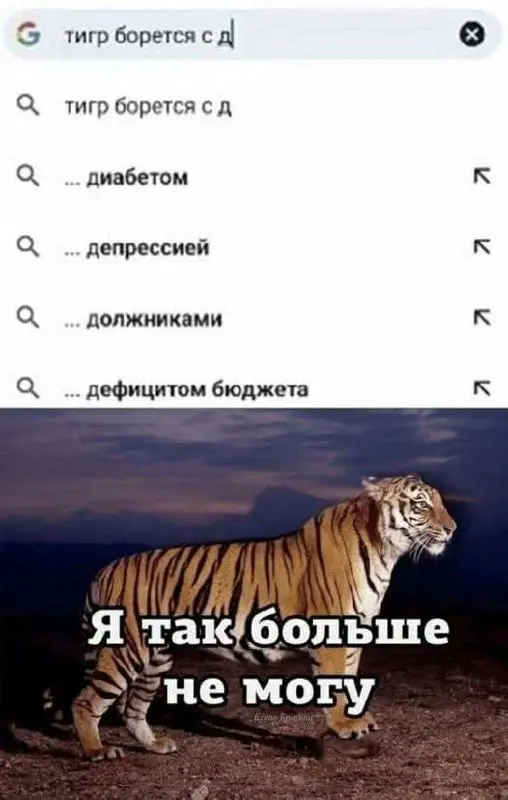 С чем столкнулся ваш внутренний тигр? | Сетка — социальная сеть от hh.ru