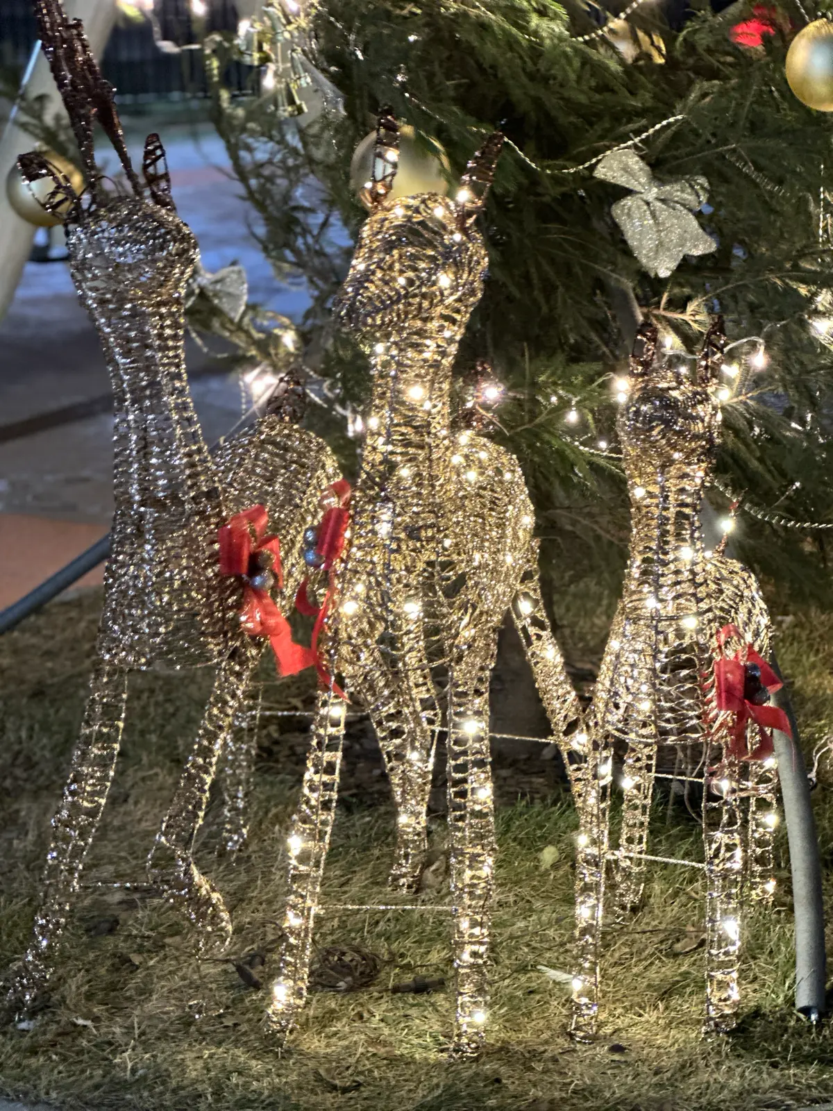 Готовимся к январскому хантингу: | Сетка — социальная сеть от hh.ru