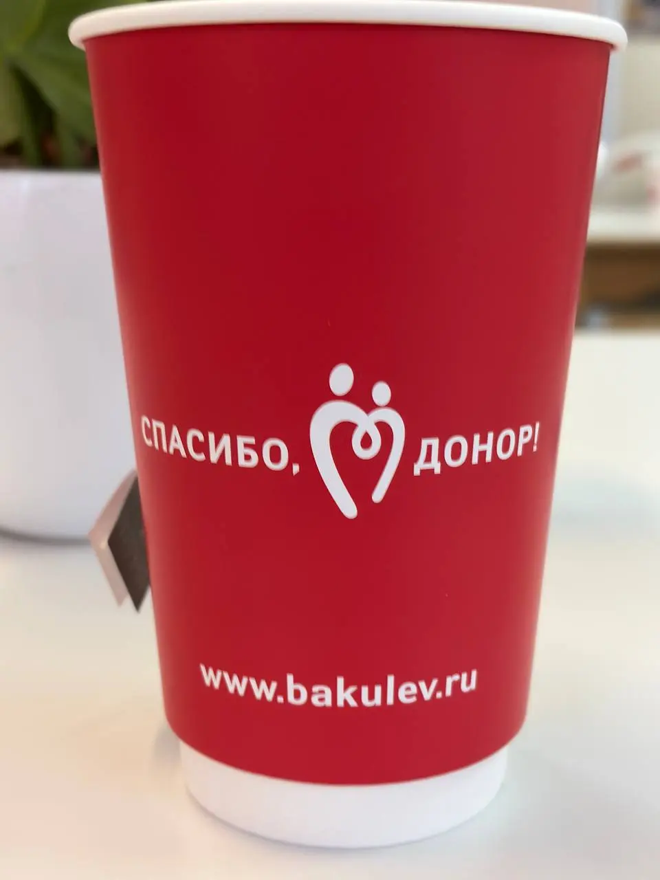 В Москве меня в службе переливания крови еще и напоили чаем с конфетами 😂. Какая забота к донорам 🩸💉 | Сетка — социальная сеть от hh.ru
