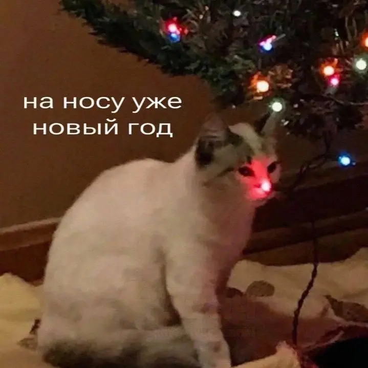 В этом году я начала планировать изменения в рутине не 1 января, а чуть заранее — где-то за 1,5 месяца | Сетка — социальная сеть от hh.ru