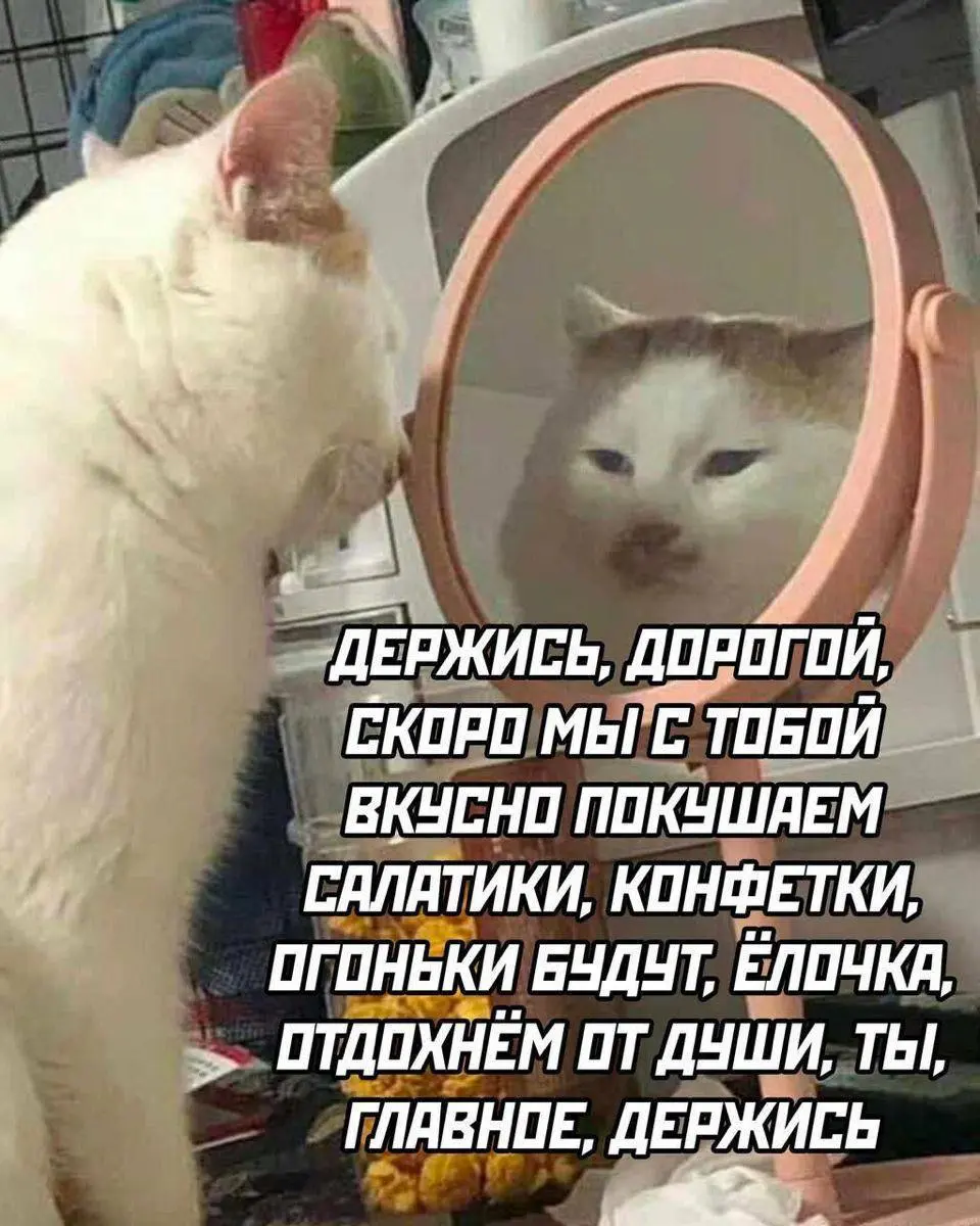 Будни СРО | Сетка — социальная сеть от hh.ru