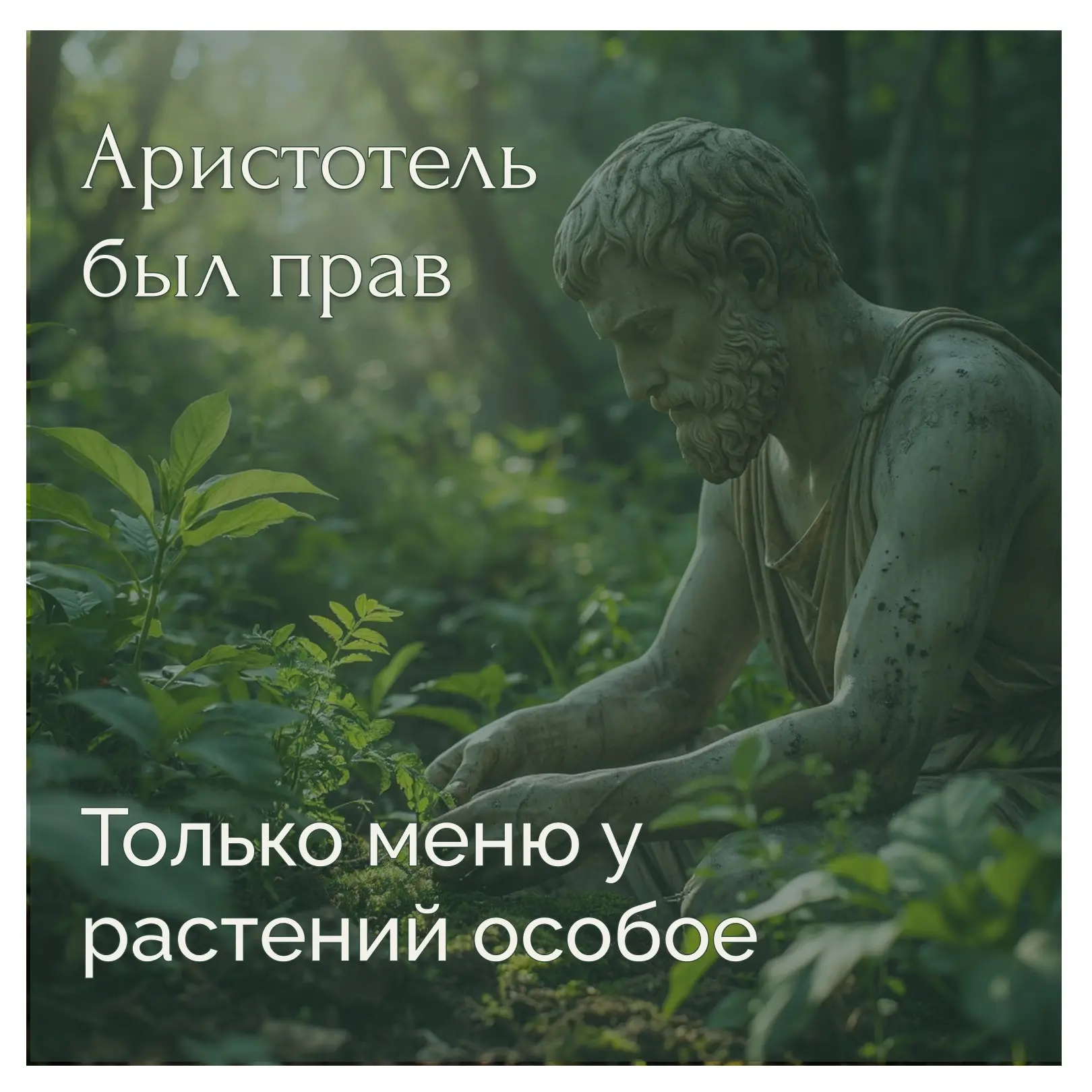 Меню растений | Сетка — социальная сеть от hh.ru