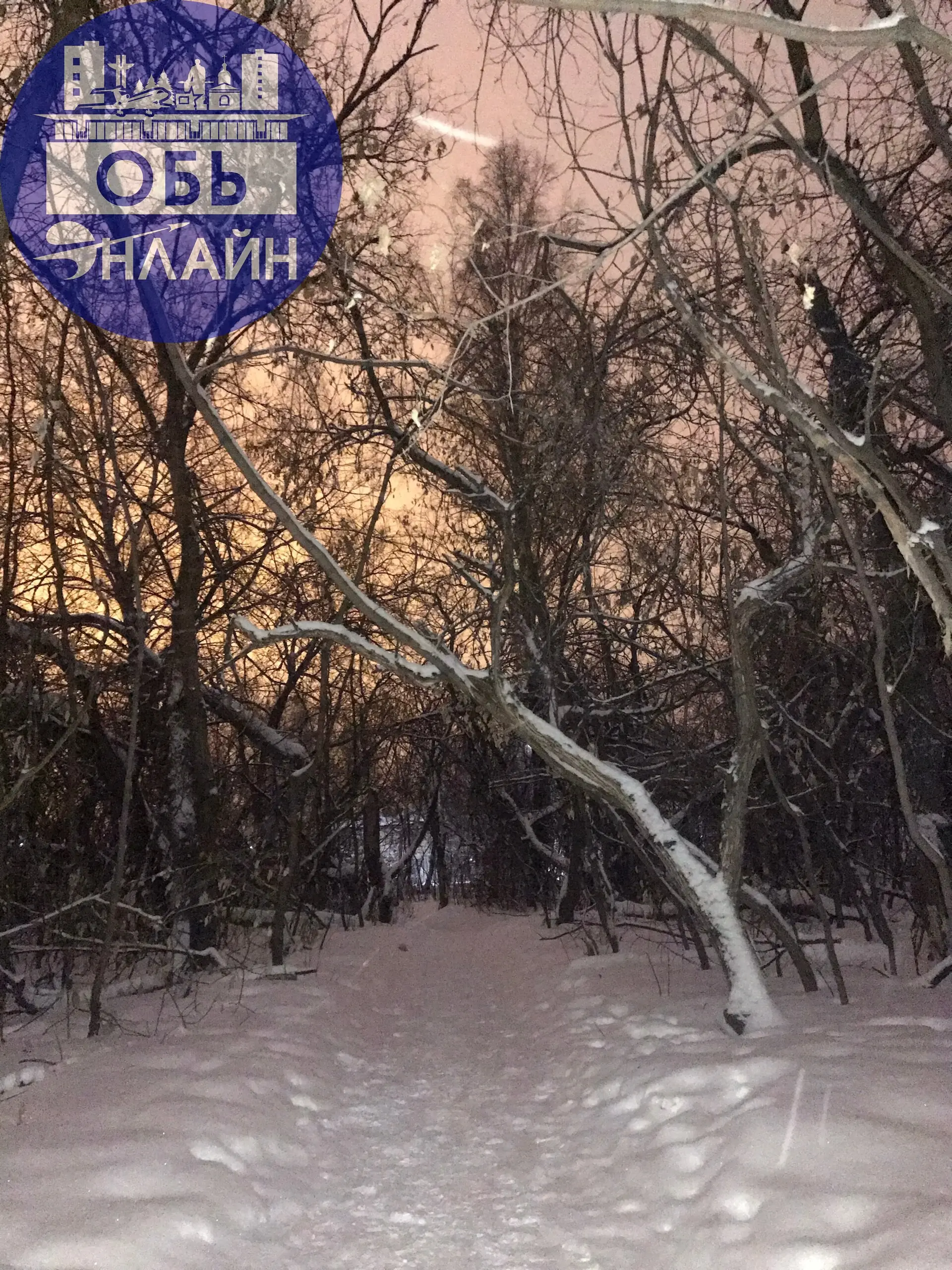 ↗ Приехала к подруге в Геодезию. Как же красиво!!!
А где ещё можно хапнуть красоты в Оби?
vk.ru
Подробнее на https://vk.com/ob.gorod
#городобь #городобьонлайн #толмачево | Сетка — социальная сеть от hh.ru
