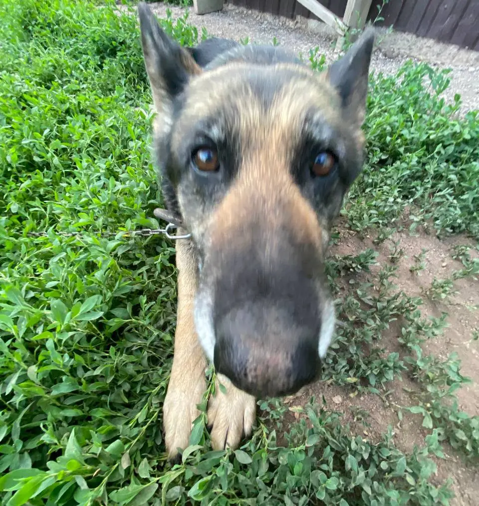 Роберт Долгополов | Сетка — социальная сеть от hh.ru