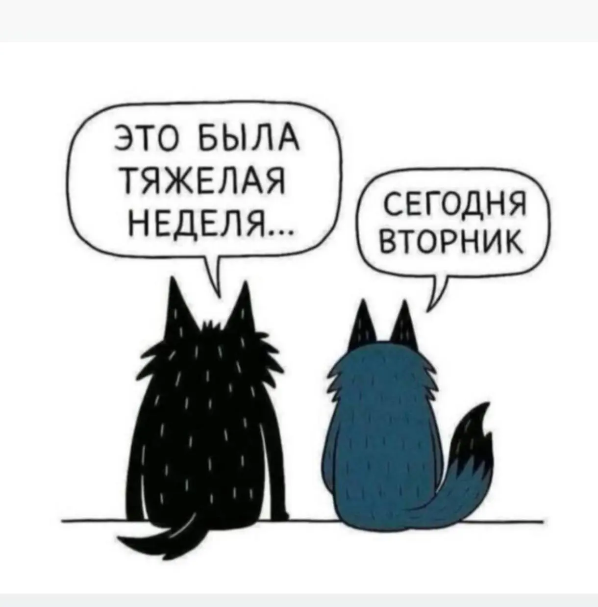 Сегодня вторник. | Сетка — социальная сеть от hh.ru