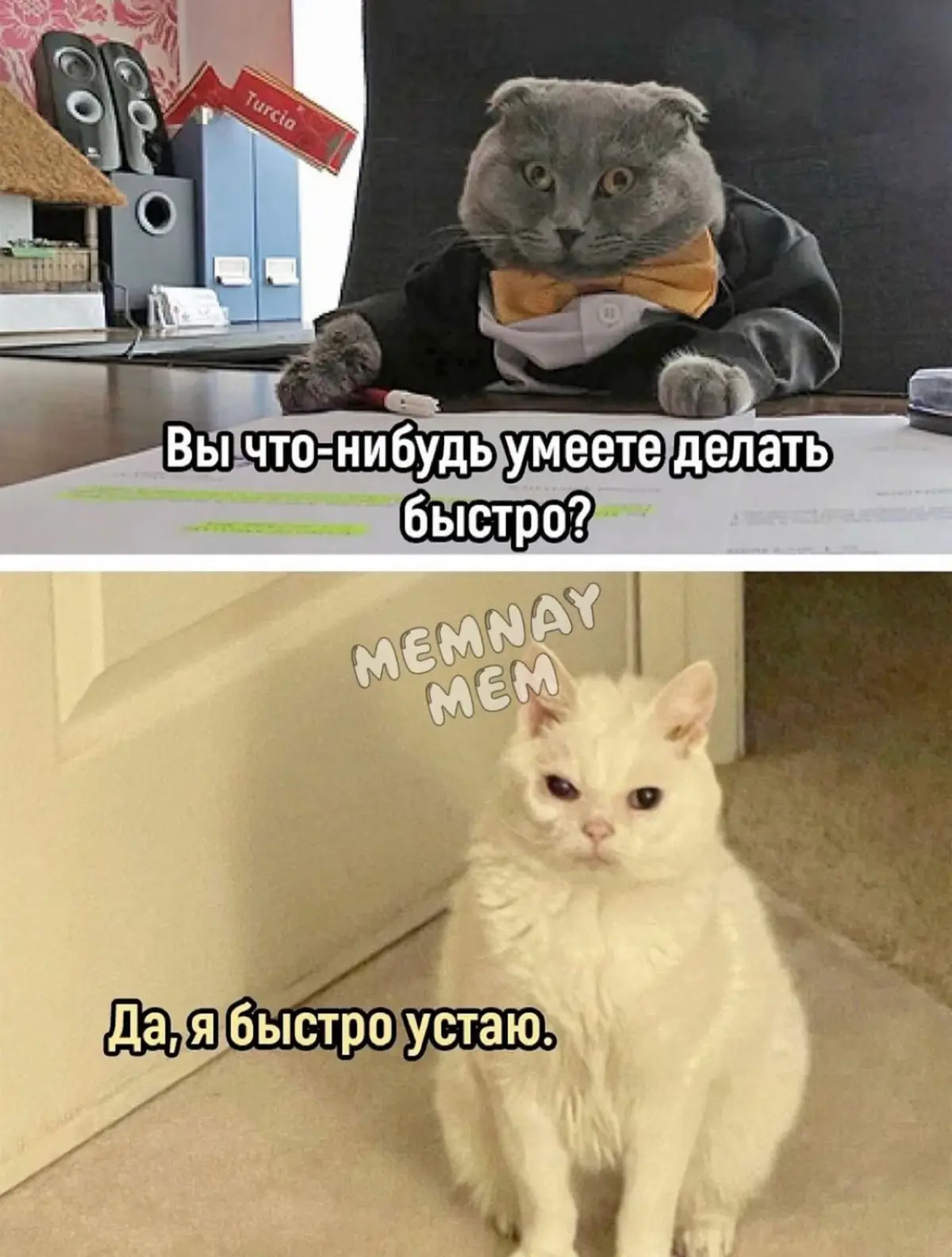 Предновогоднее… | Сетка — социальная сеть от hh.ru