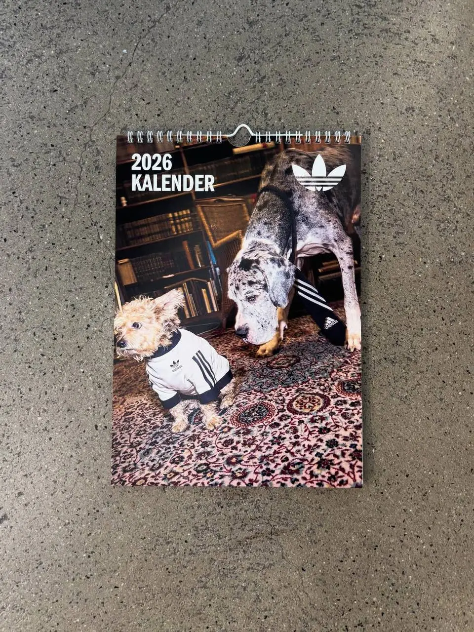 ✍️adidas снова дропнул одежду для домашних животных. На днях выкатили пет-мерч в Германии в коллабе с местным апсайкл-дизайнером. Приятным допом стал календарь на 2026 год | Сетка — социальная сеть от hh.ru