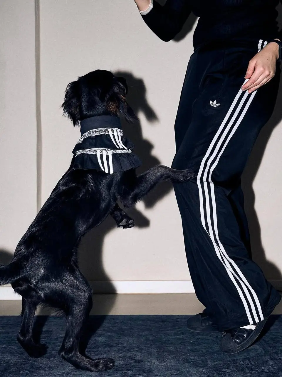 ✍️adidas снова дропнул одежду для домашних животных. На днях выкатили пет-мерч в Германии в коллабе с местным апсайкл-дизайнером. Приятным допом стал календарь на 2026 год | Сетка — социальная сеть от hh.ru