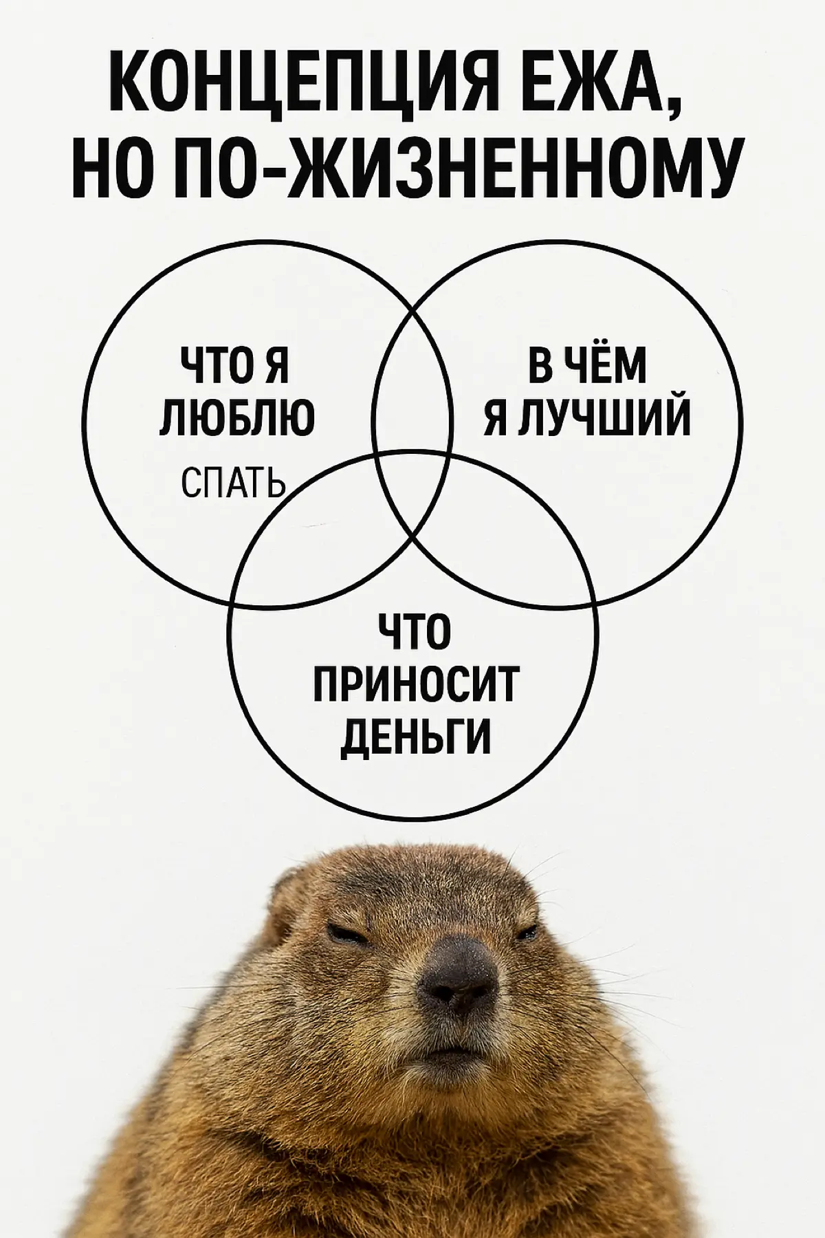 «Концепция ежа, но по‑жизненному» | Сетка — социальная сеть от hh.ru