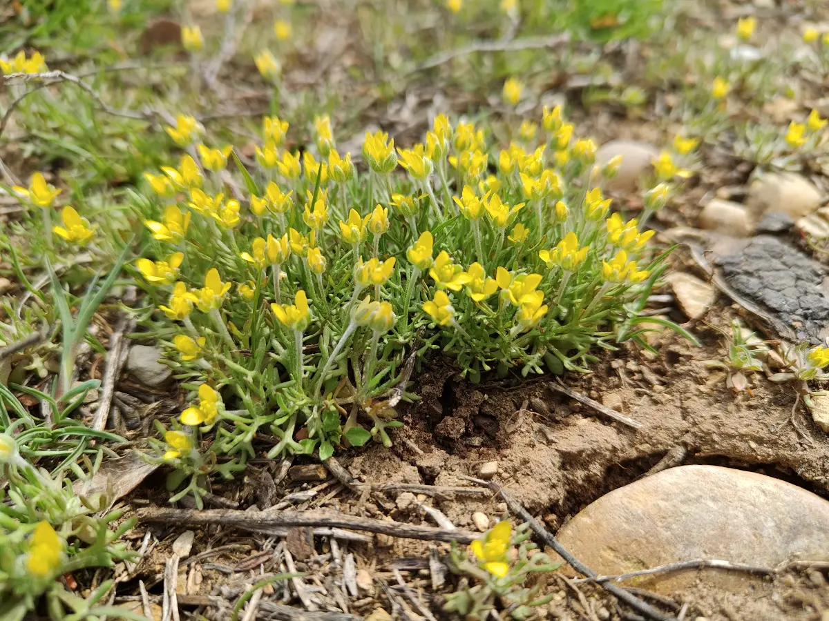 Новогодний парадокс: уже думаем о весеннем релизе. | Сетка — социальная сеть от hh.ru
