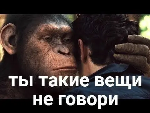 Когда сроки горят: крашинг и фаст трек на примере… штор
Мне срочно нужно подшить 6 штор к завтрашнему дню | Сетка — социальная сеть от hh.ru