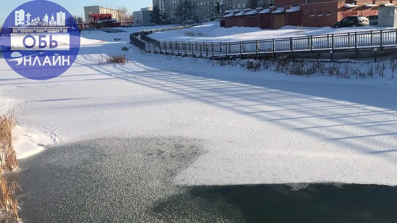 ↗ Ты помнишь, как все начиналось?
Вот такая красота теперь на озере в Экопарке…
А помните, с чего все начиналось? На заброшенное, заросшее, вонючеее озеро пришли люди: неравнодушные обчане и начали ег... | Сетка — социальная сеть от hh.ru