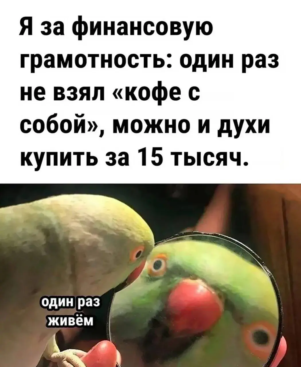Главное, выполнил золотое правило — сэкономил на чашке кофе — и вот ты уже финансово грамотный
А остальное так, мелочи 😅 | Сетка — социальная сеть от hh.ru