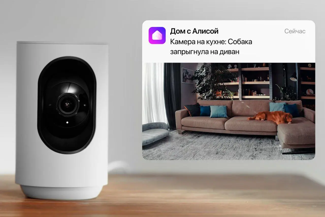 «ТАЩИ КОРМ, КОТ В БУНКЕРЕ!» 🐾🤯
Твой телефон внезапно пишет: «Кот в третий раз за утро пытается украсть рулет с твоего стола»*🍰👀 | Сетка — социальная сеть от hh.ru