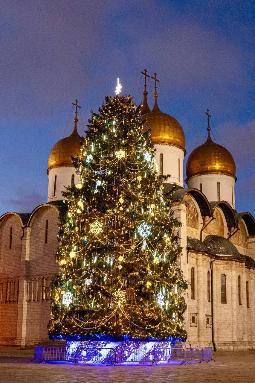 🎄Главную новогоднюю ёлку установили на Соборной площади
Это 26-метровое столетнее дерево, доставленное из Рузского района Московской области
Обхват её ствола 64 см, а размах нижних ветвей – 11 м
📲Подп... | Сетка — социальная сеть от hh.ru
