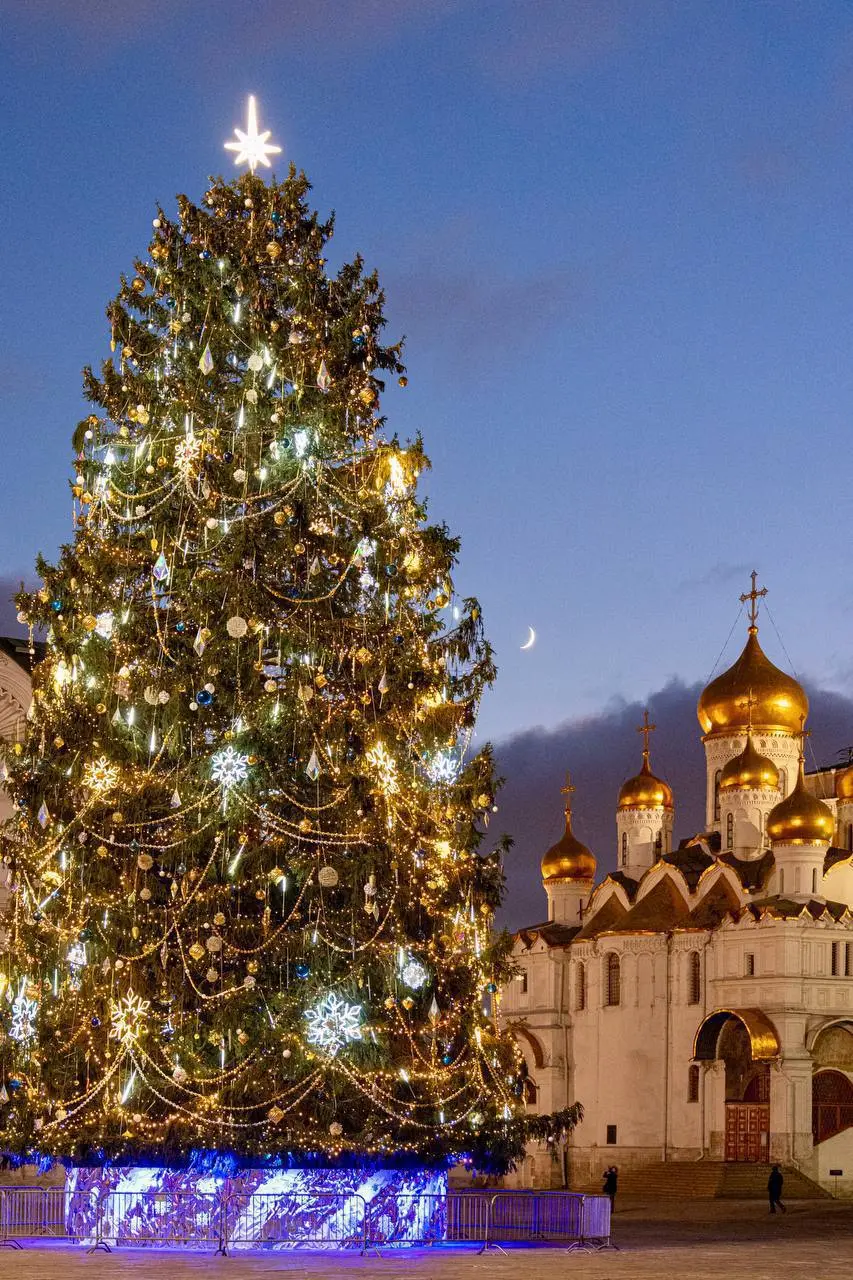 🎄Главную новогоднюю ёлку установили на Соборной площади
Это 26-метровое столетнее дерево, доставленное из Рузского района Московской области
Обхват её ствола 64 см, а размах нижних ветвей – 11 м
📲Подп... | Сетка — социальная сеть от hh.ru
