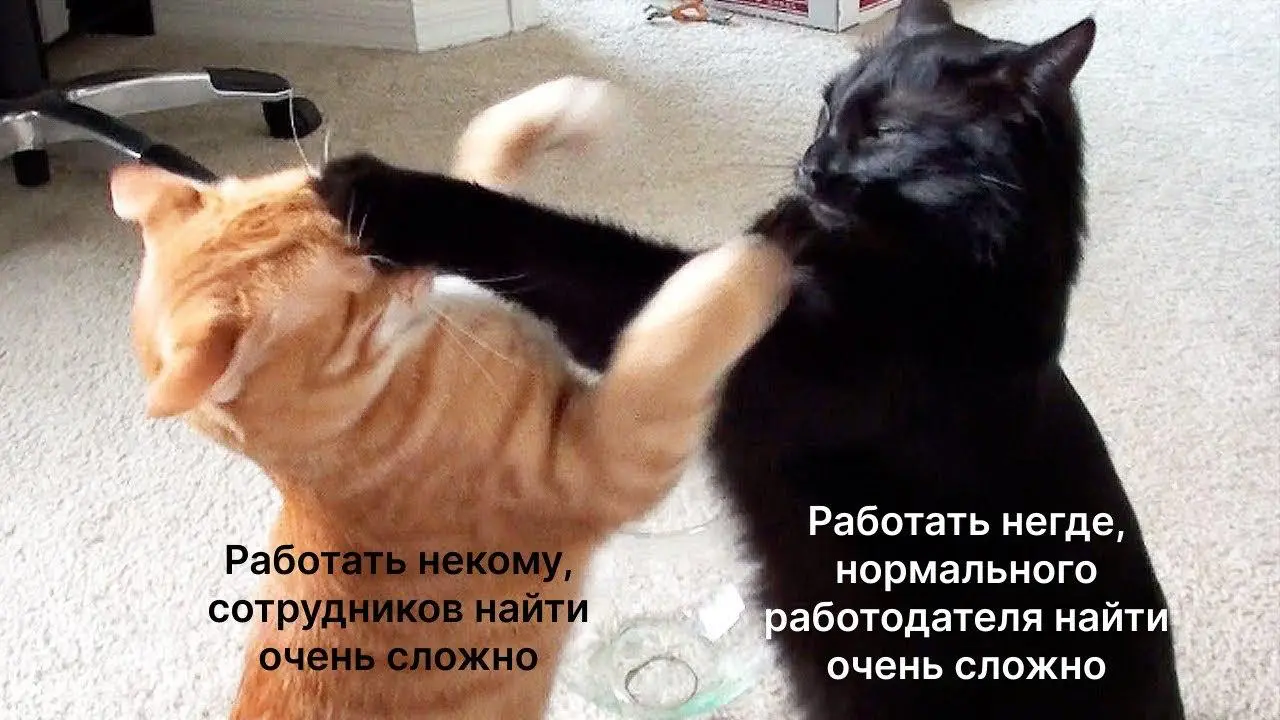 🚗 Принесли вам полезные материалы про карьеру и развитие
Вместо итогов года мы с коллегами подготовили для вас целый мешок подарков 🎅целую папку каналов про карьеру, развитие и рынок труда | Сетка — социальная сеть от hh.ru