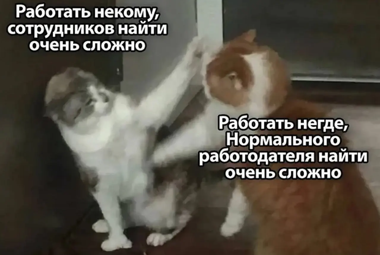 🧭 Карьера больше не работает «на автопилоте»
Рынок труда входит в фазу высокой неопределённости — и это не временный спад, а новый режим | Сетка — социальная сеть от hh.ru