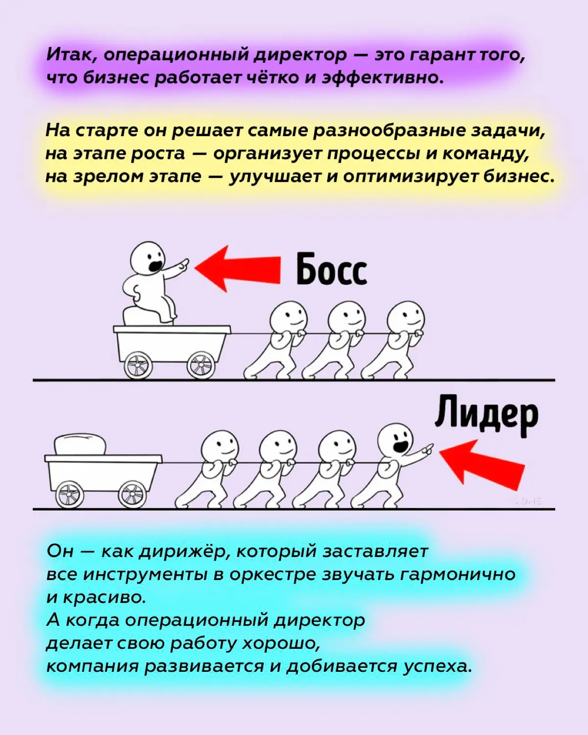 Операционный директор - что это за зверь? | Сетка — социальная сеть от hh.ru