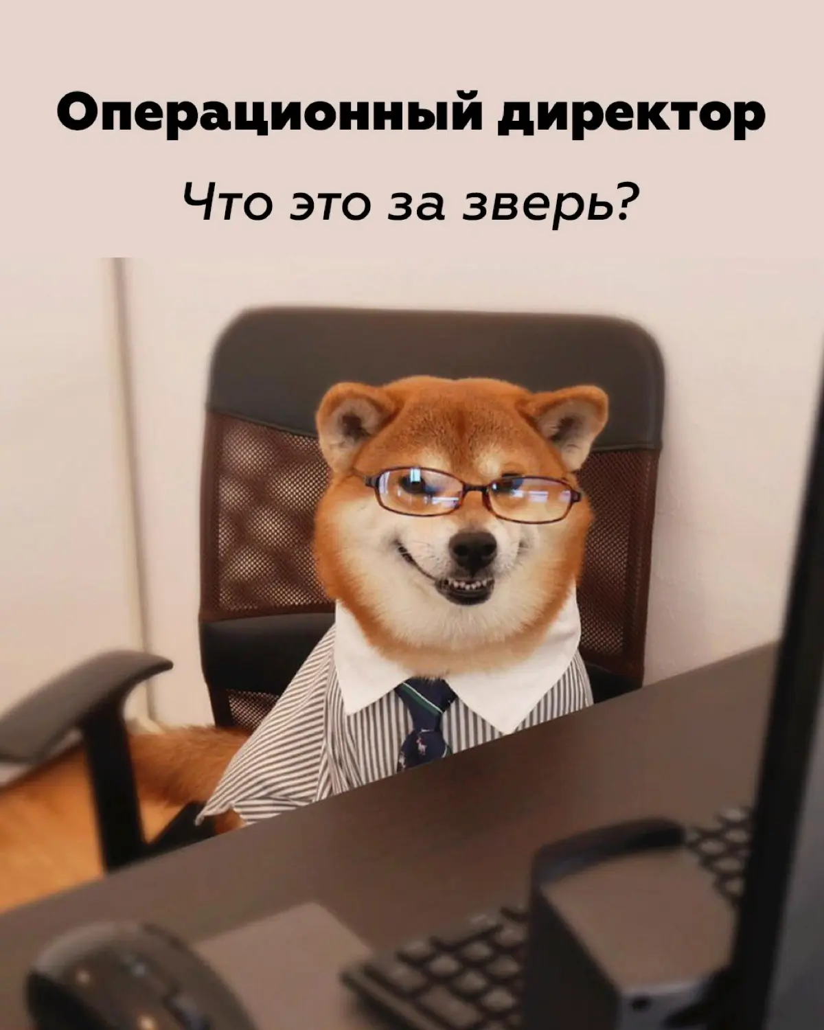 Операционный директор - что это за зверь? | Сетка — социальная сеть от hh.ru