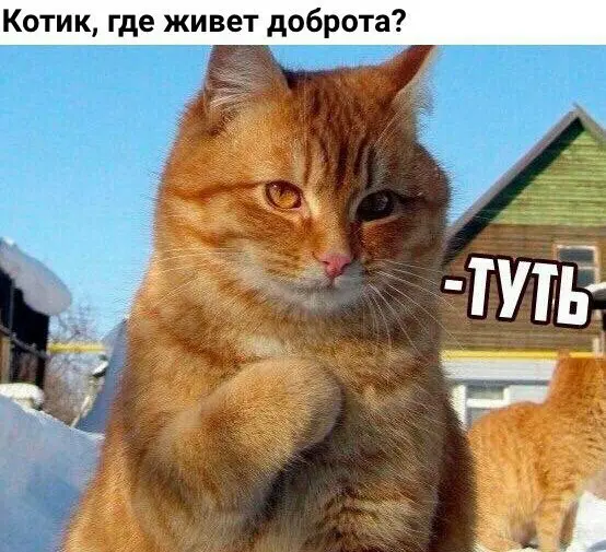 Сердечки и тепла HRам, которые дают фидбек | Сетка — социальная сеть от hh.ru