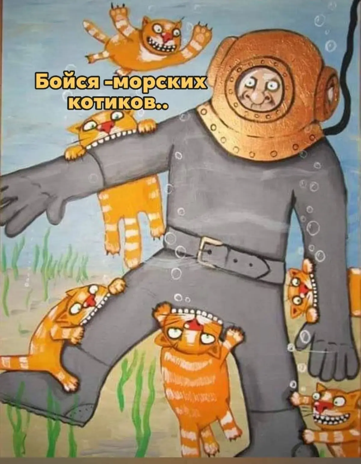 Вэнс & Котики 🥷😼😸 | Сетка — социальная сеть от hh.ru