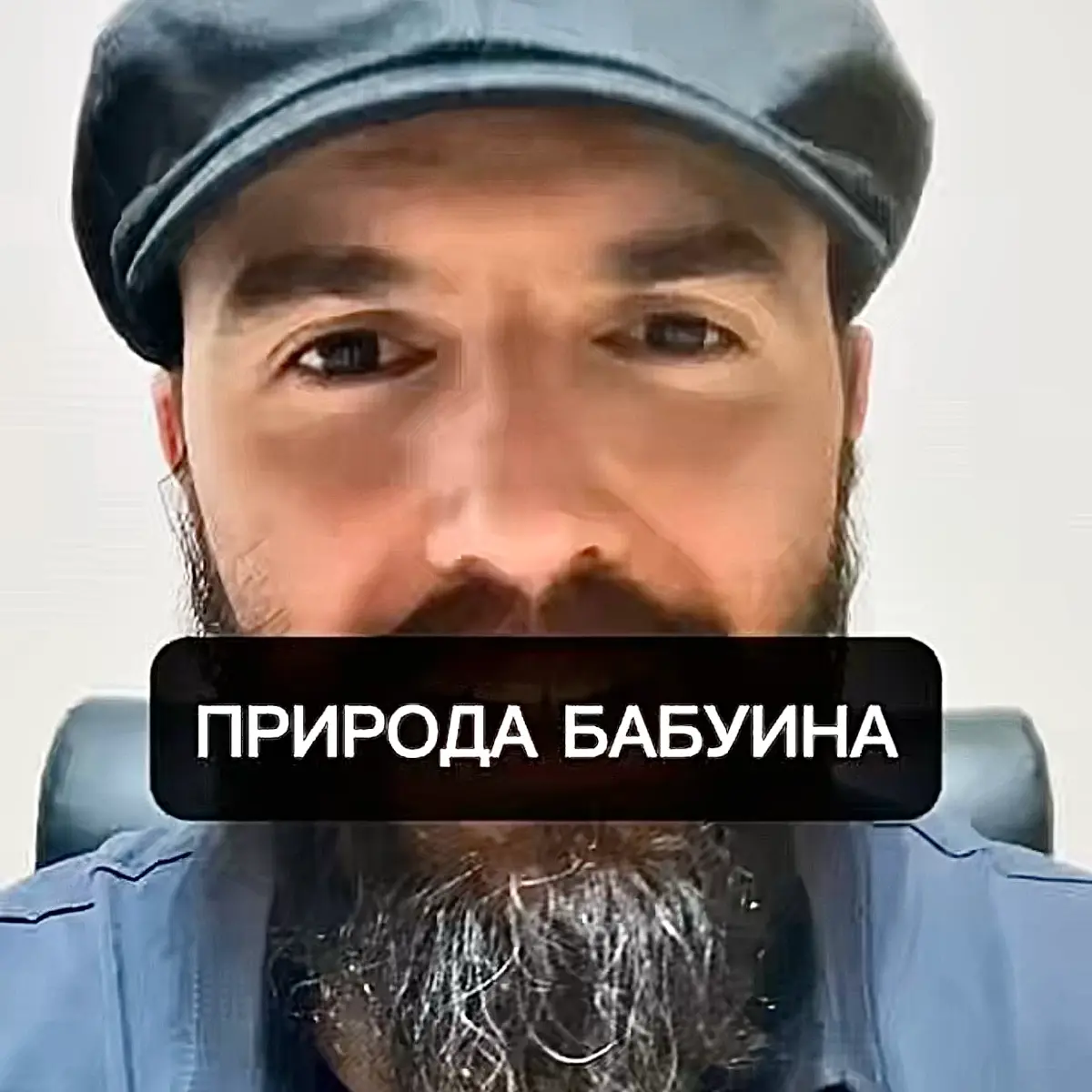 А что если требуют удалиться из социальных сетей. Скоро в тг. | Сетка — социальная сеть от hh.ru