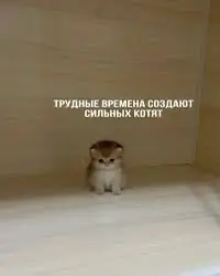 Как найти работу в 2026 году или что будет дальше | Сетка — социальная сеть от hh.ru