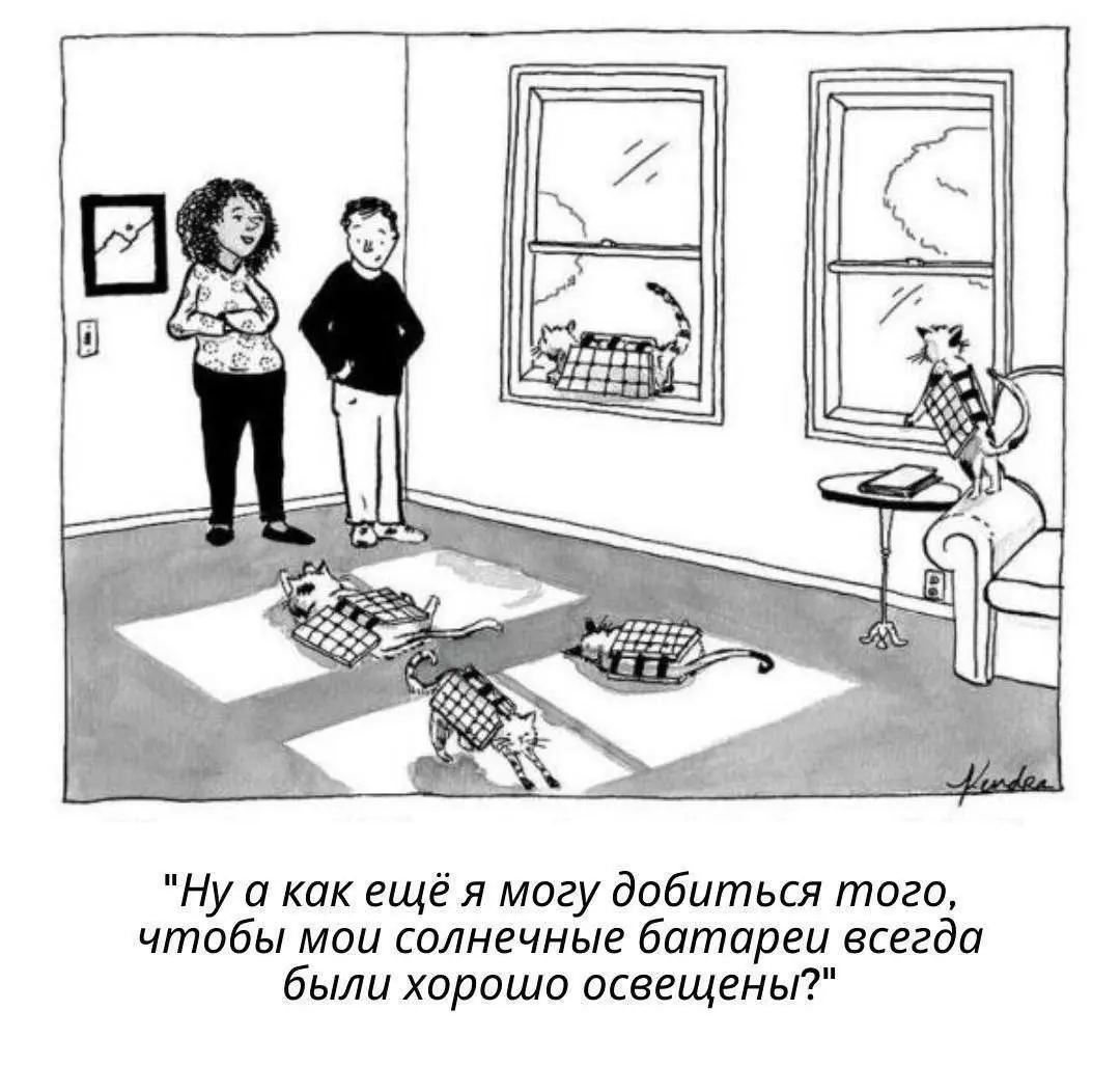 Котики - сотрудники года 😂
#Юмор@poldner    #Коты@poldner | Сетка — социальная сеть от hh.ru