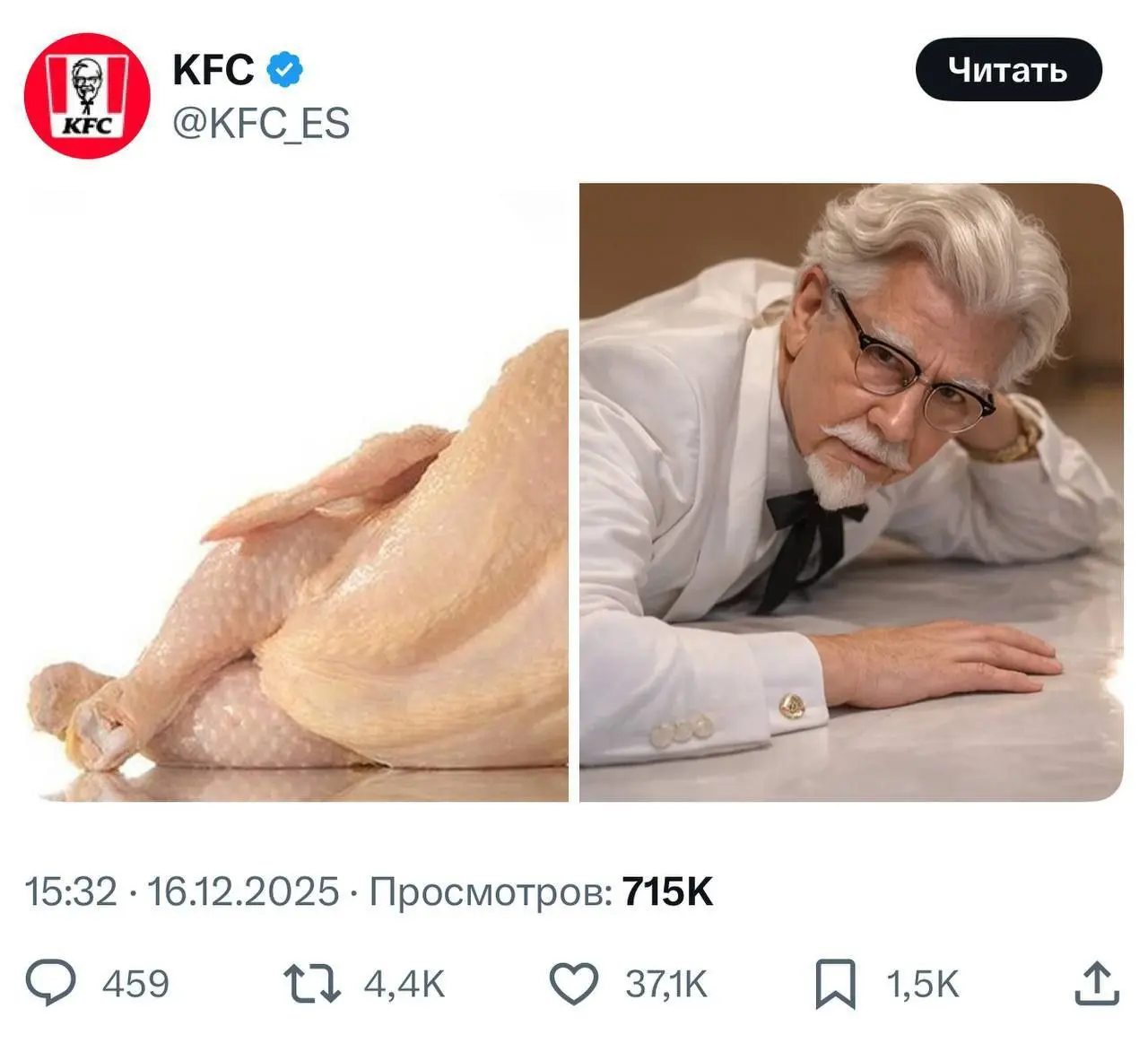 Курочки ? | Сетка — социальная сеть от hh.ru