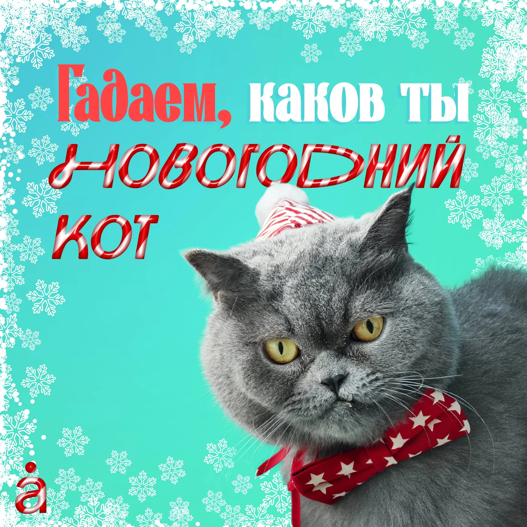 🤩  Рабочий 2025 уже почти позади, впереди — новогодние, чтобы перезагрузиться. Давайте погадаем и узнаем, в какого кота вы превращаетесь после продуктивного года | Сетка — социальная сеть от hh.ru