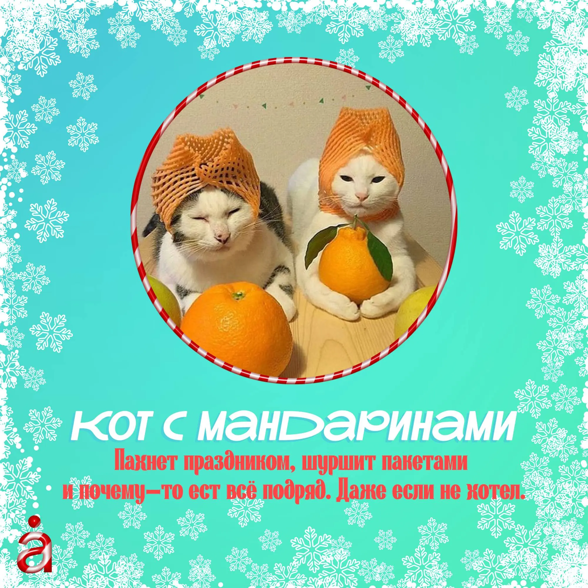 🤩  Рабочий 2025 уже почти позади, впереди — новогодние, чтобы перезагрузиться. Давайте погадаем и узнаем, в какого кота вы превращаетесь после продуктивного года | Сетка — социальная сеть от hh.ru