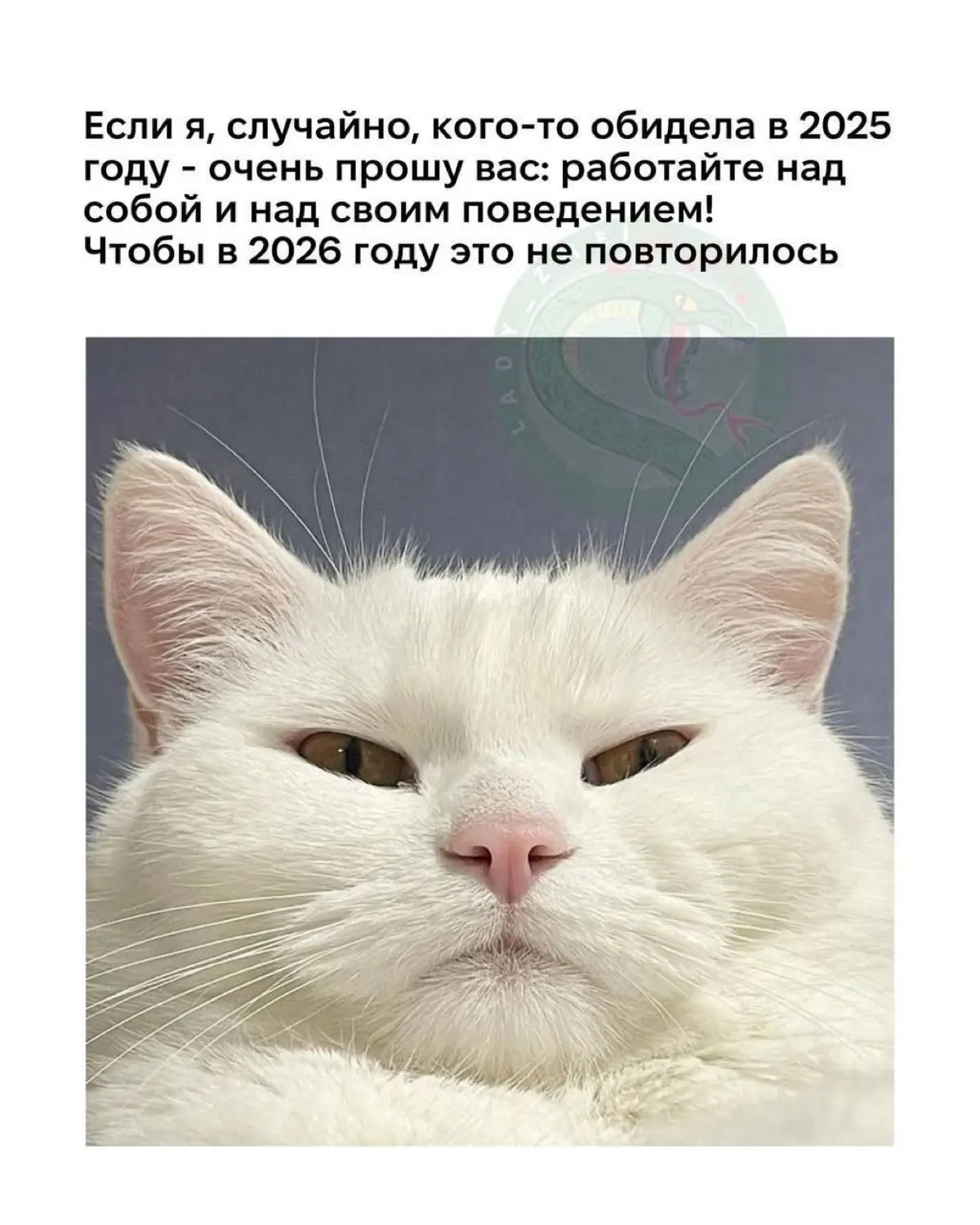 Я сейчас учусь в магистратуре на психолога, и у нас в группе есть отдельный чат “юмор”
Cобрала для вас лучшую подборку, немного не про карьеру, зато много жизни  😂 | Сетка — социальная сеть от hh.ru