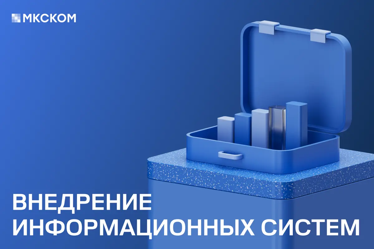 Внедрение информационных систем | Сетка — социальная сеть от hh.ru