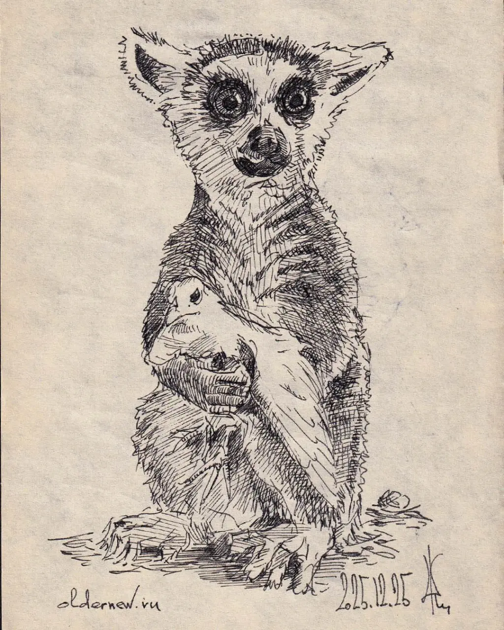 Чернильная разминка
Ждун-лемур с куропаткой из ростовского зоопарка
Ждун потому, что он не "дружит" с птичкой, как написали во многих пабликах, а "тупо" ждёт, когда она снесёт яйцо, чтобы его слопать!... | Сетка — социальная сеть от hh.ru