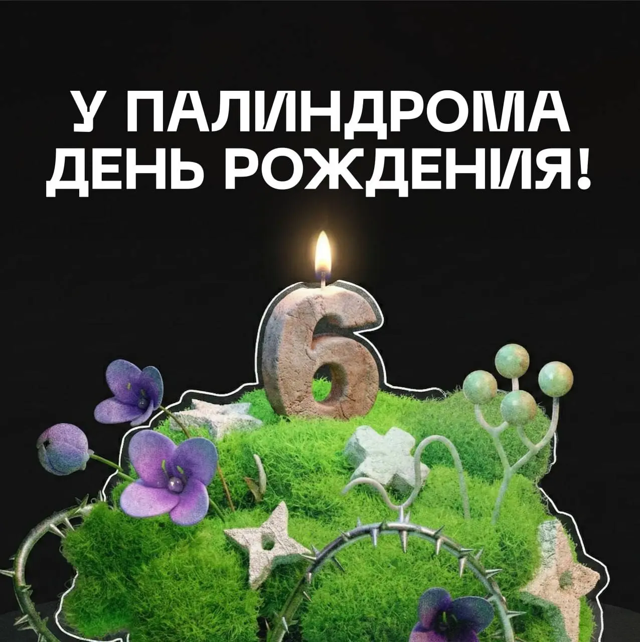 Ну что, нам сегодня 6 лет. Погнали дальше, в 2026! | Сетка — социальная сеть от hh.ru