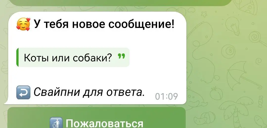 Коты. Собак боюсь | Сетка — социальная сеть от hh.ru