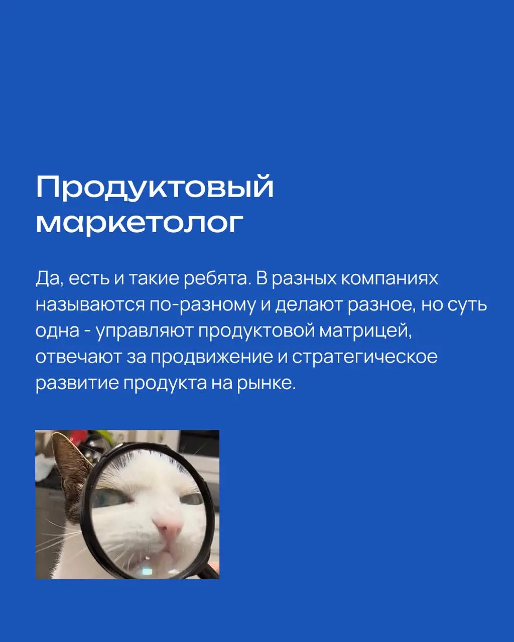 Виды маркетологов
«Неужели нельзя просто взять «маркетолога», который и рекламу настроит, и соцсети будет вести, и презентацию для гендира сделает, и бюджет защитит?»
Можно, конечно | Сетка — социальная сеть от hh.ru