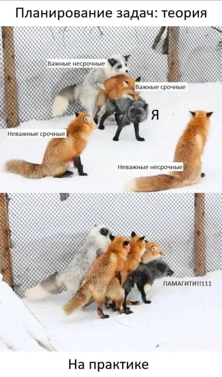 Про скилы нейросетей не зашло, хотя на мой взгляд это очень важно и затронет всех нас.
Пока я жду платных агентов, вот интсипукция как работать с матрицей Эйзенхауэра | Сетка — социальная сеть от hh.ru