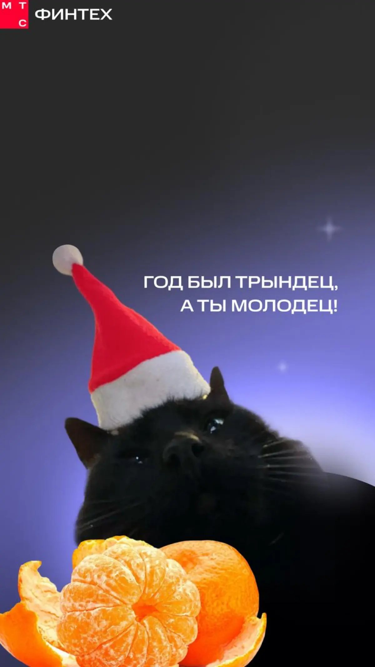Без чего Новый год не тот? | Сетка — социальная сеть от hh.ru