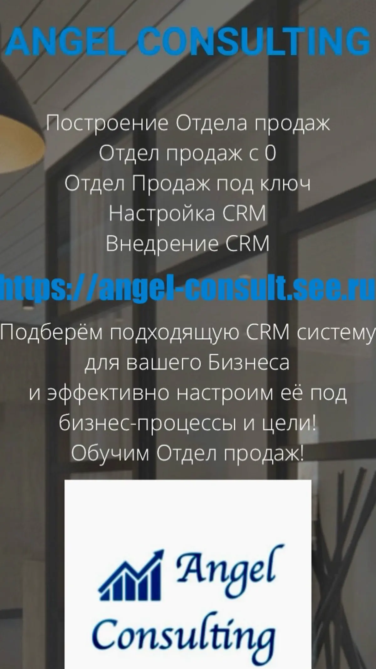 Angel Consulting - Ангел Мария Сергеевна/Консалтинг и CRM | Сетка — социальная сеть от hh.ru