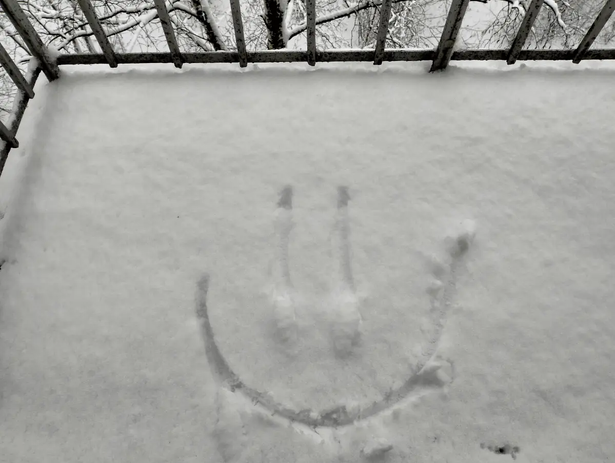 Зима чтоле? ❄️☃️🥕😃 | Сетка — социальная сеть от hh.ru