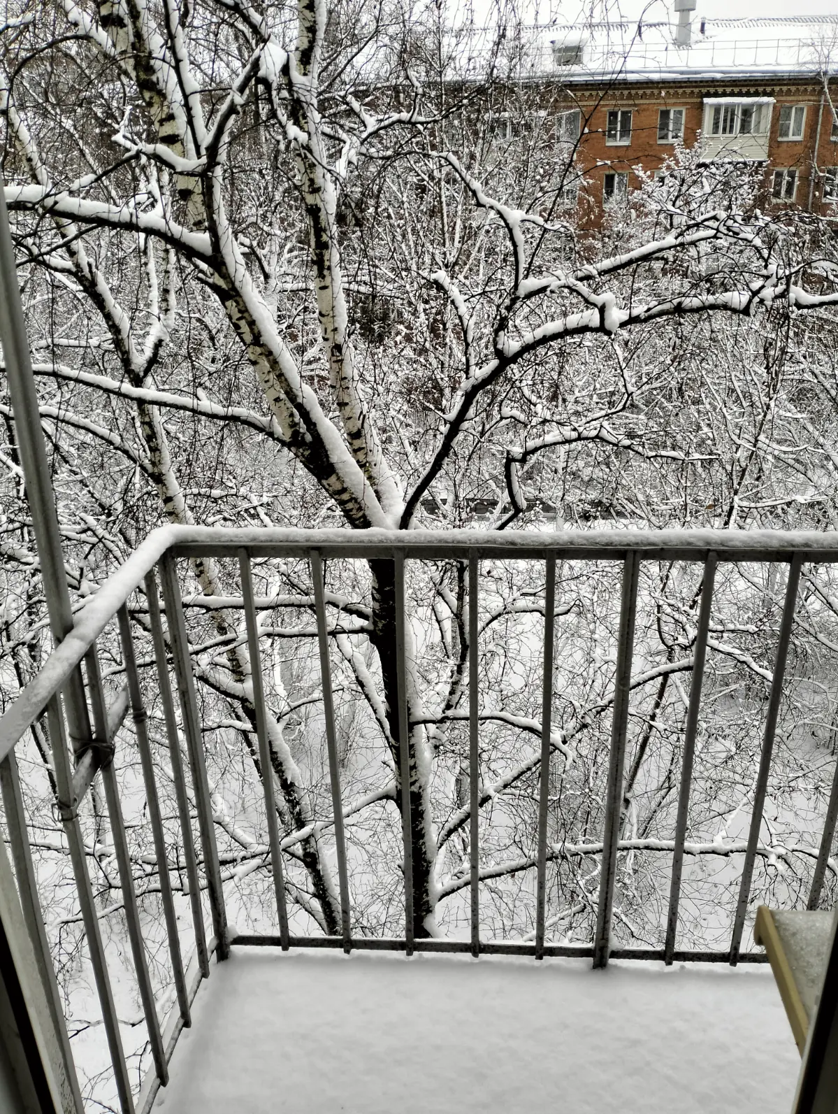 Зима чтоле? ❄️☃️🥕😃 | Сетка — социальная сеть от hh.ru
